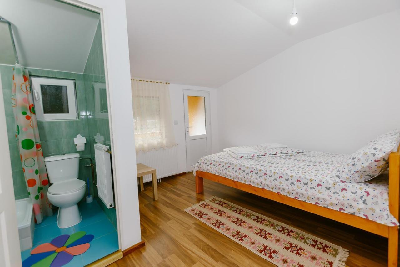 Casa Vio Guest House Nehoiu Exterior photo