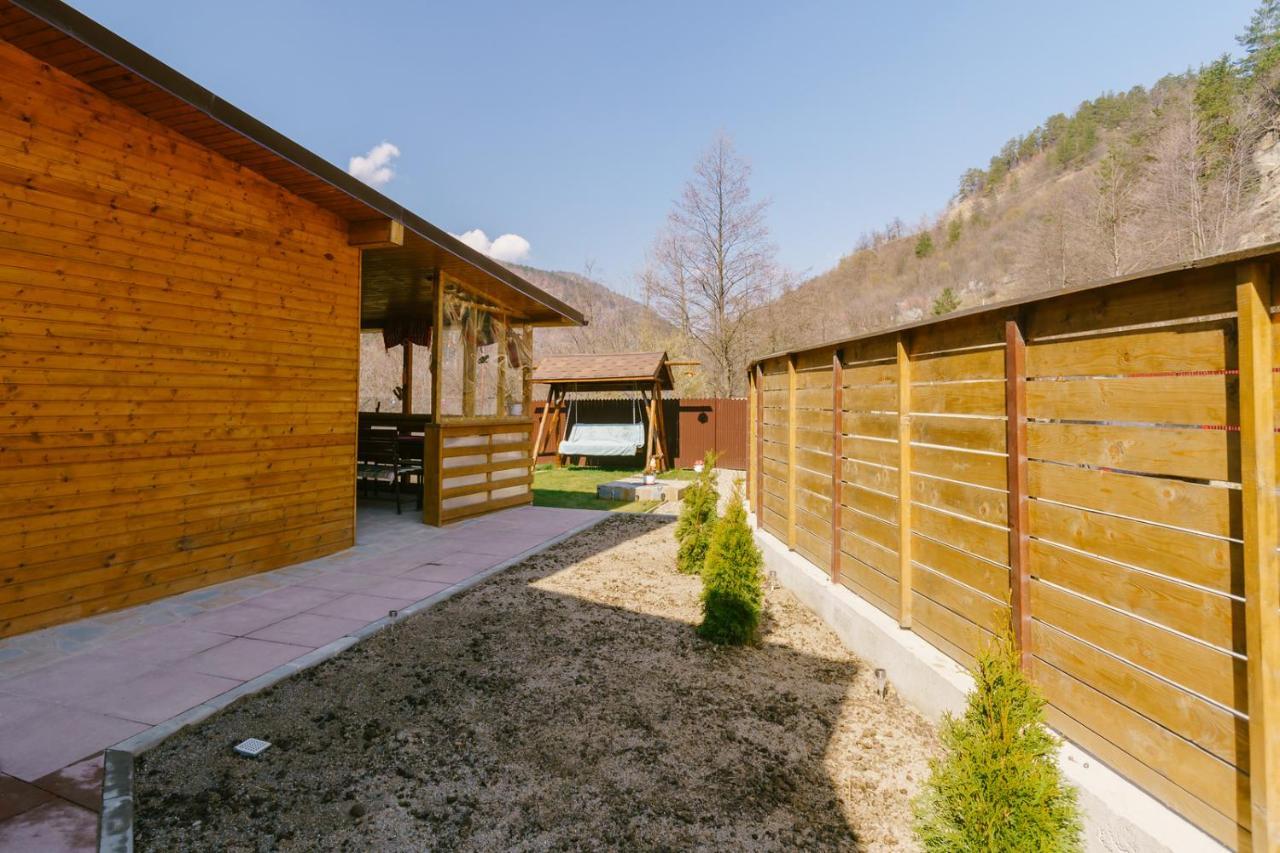 Casa Vio Guest House Nehoiu Exterior photo