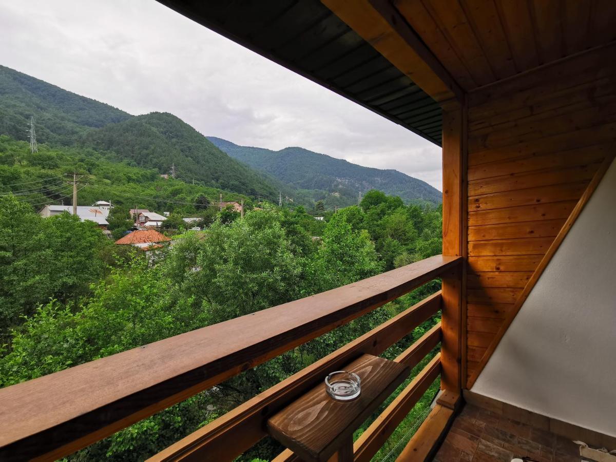 Casa Vio Guest House Nehoiu Exterior photo