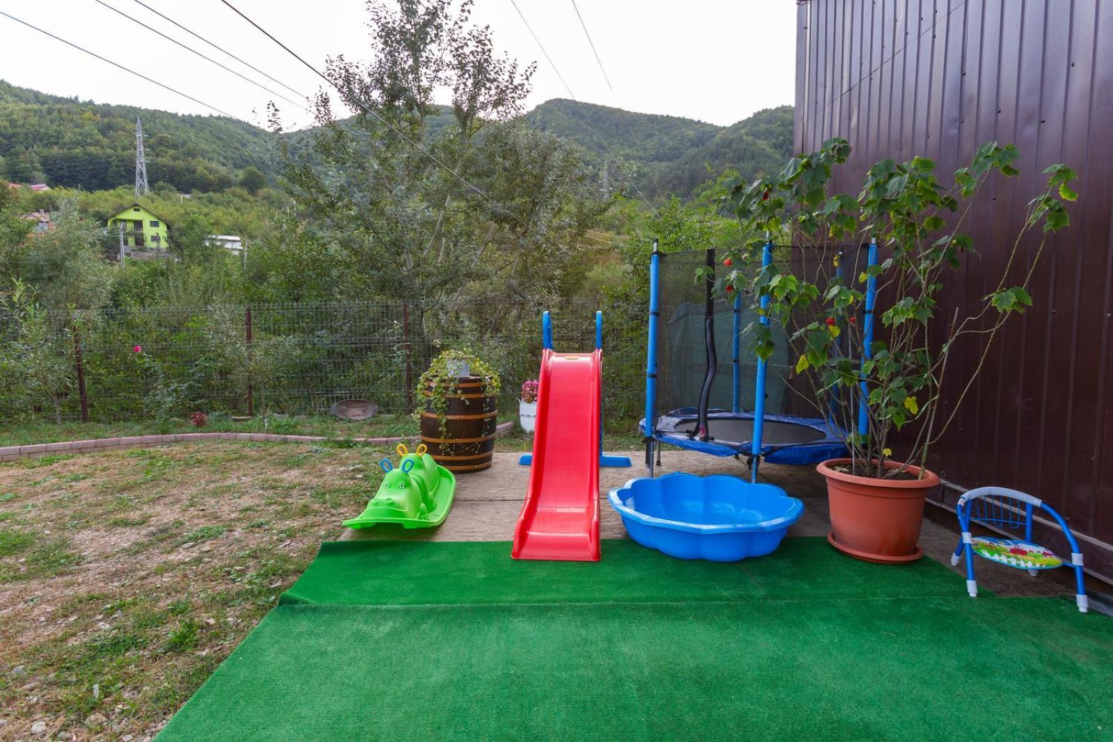 Casa Vio Guest House Nehoiu Exterior photo