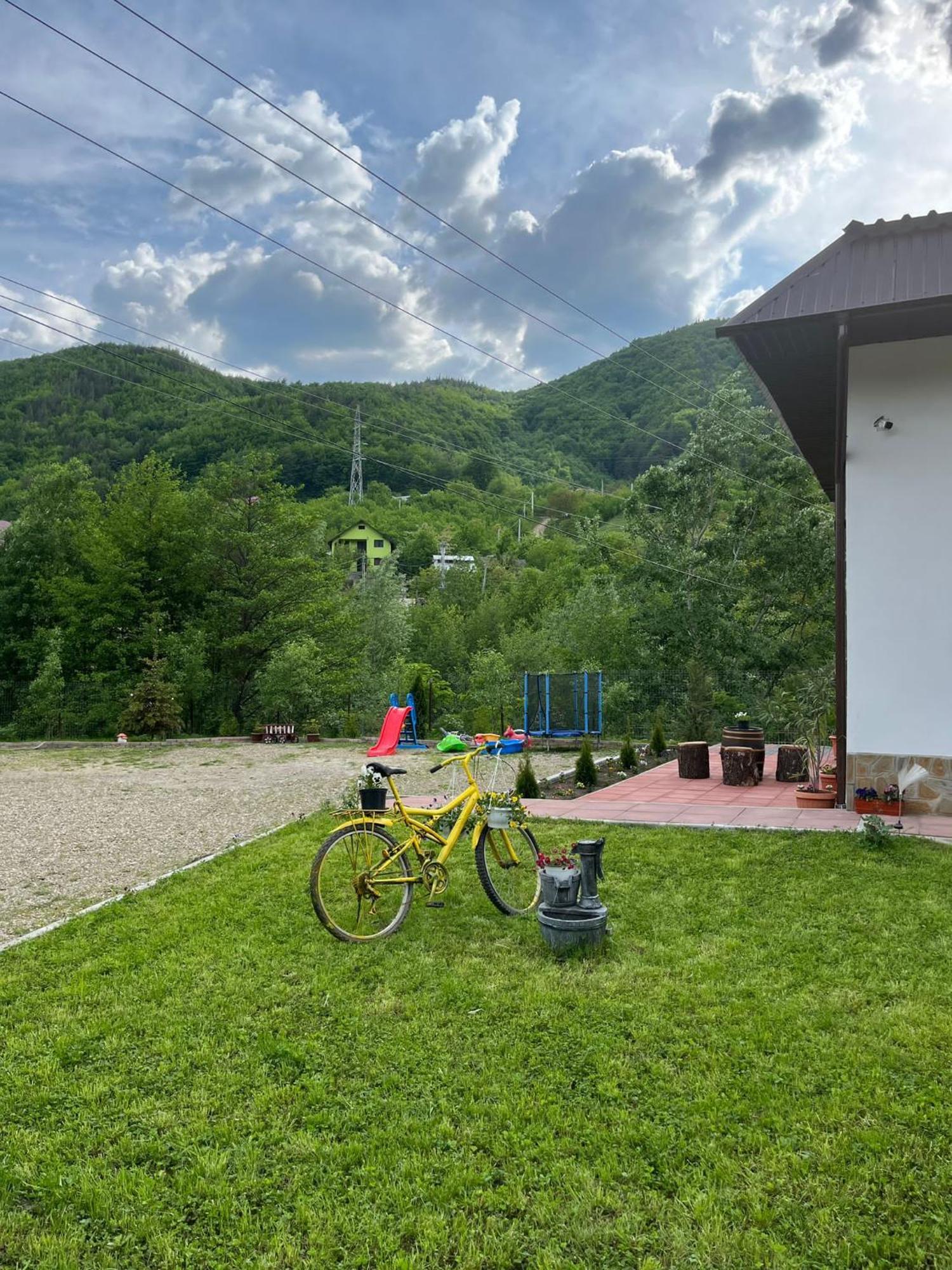 Casa Vio Guest House Nehoiu Exterior photo