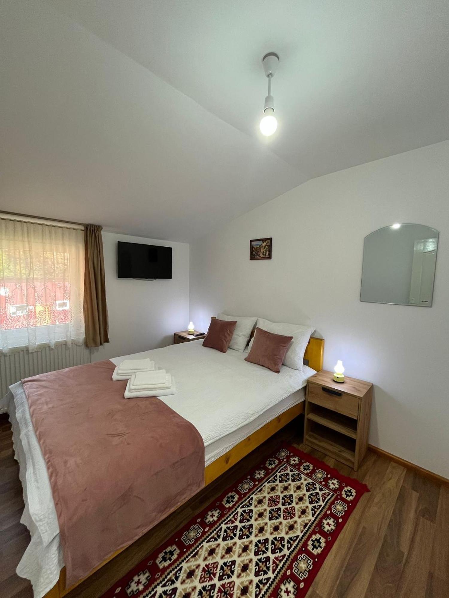 Casa Vio Guest House Nehoiu Exterior photo